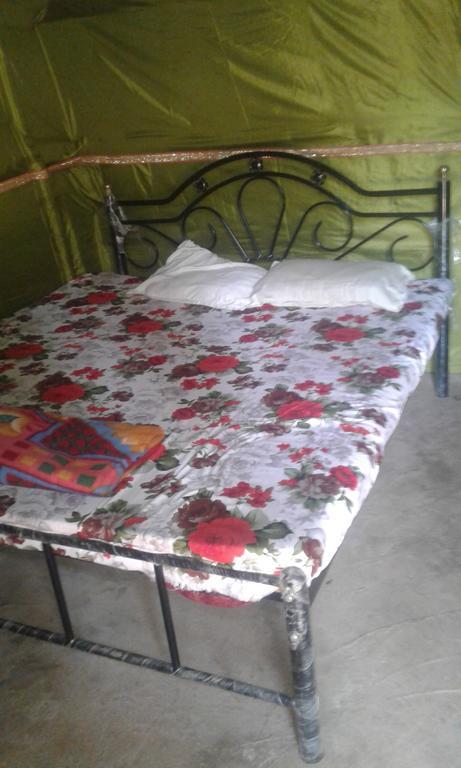 Shanti Guest House Arambol Esterno foto